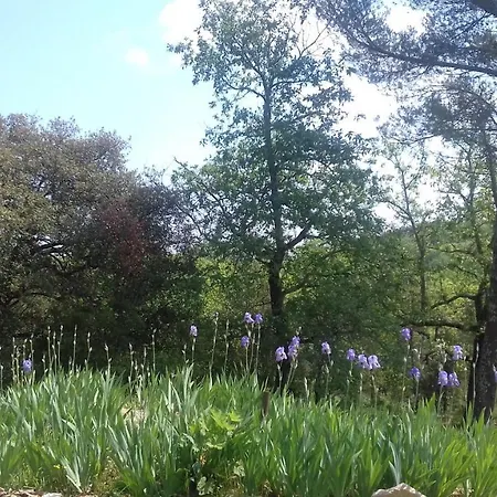Le Pigeonnier Du Chateau Сasa de vacaciones